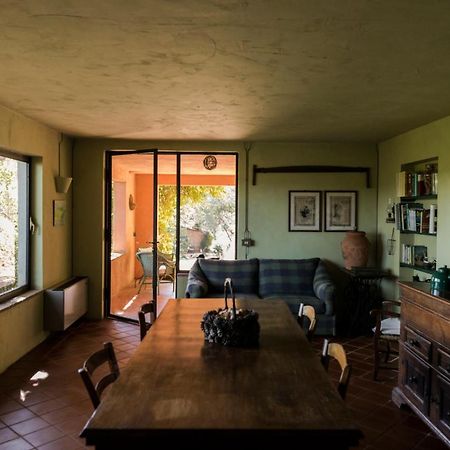 Studio/Flat Rustic Tuscan Marziani 2 Capannori Bagian luar foto