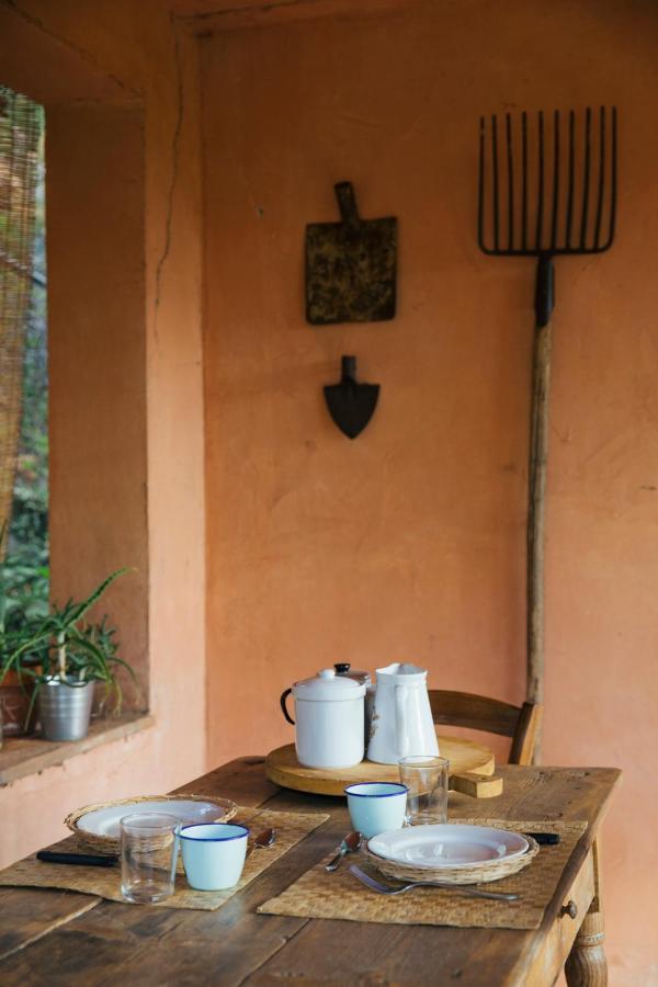 Studio/Flat Rustic Tuscan Marziani 2 Capannori Bagian luar foto