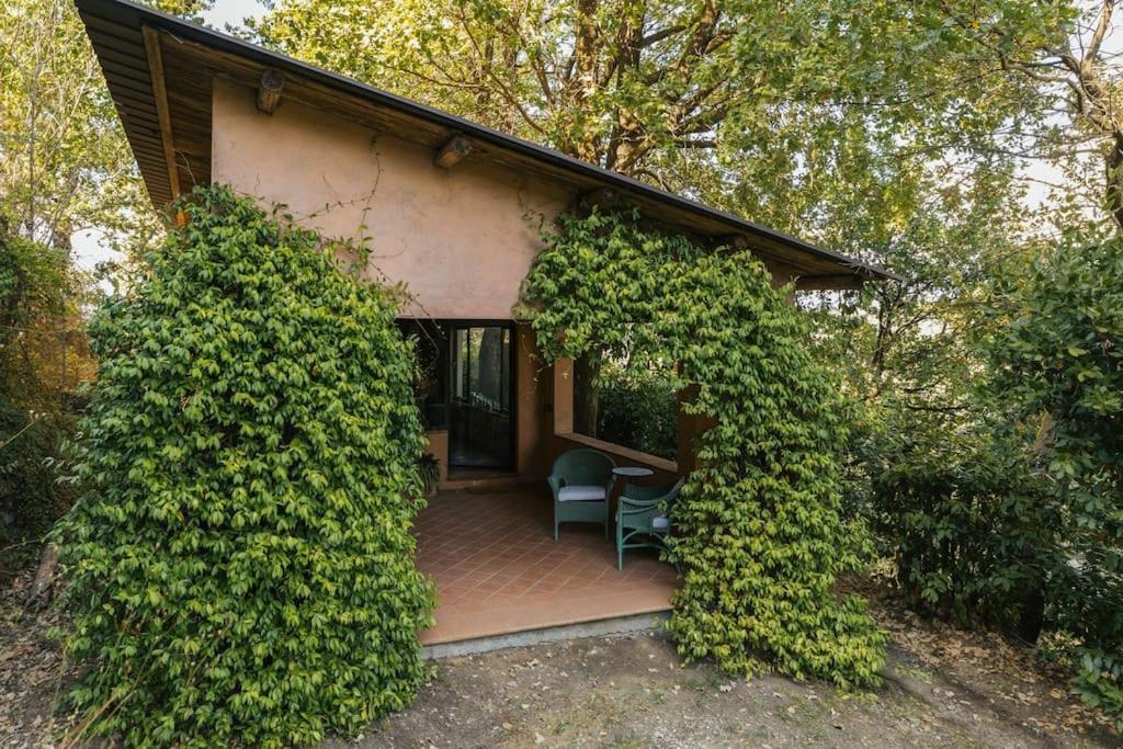 Studio/Flat Rustic Tuscan Marziani 2 Capannori Bagian luar foto
