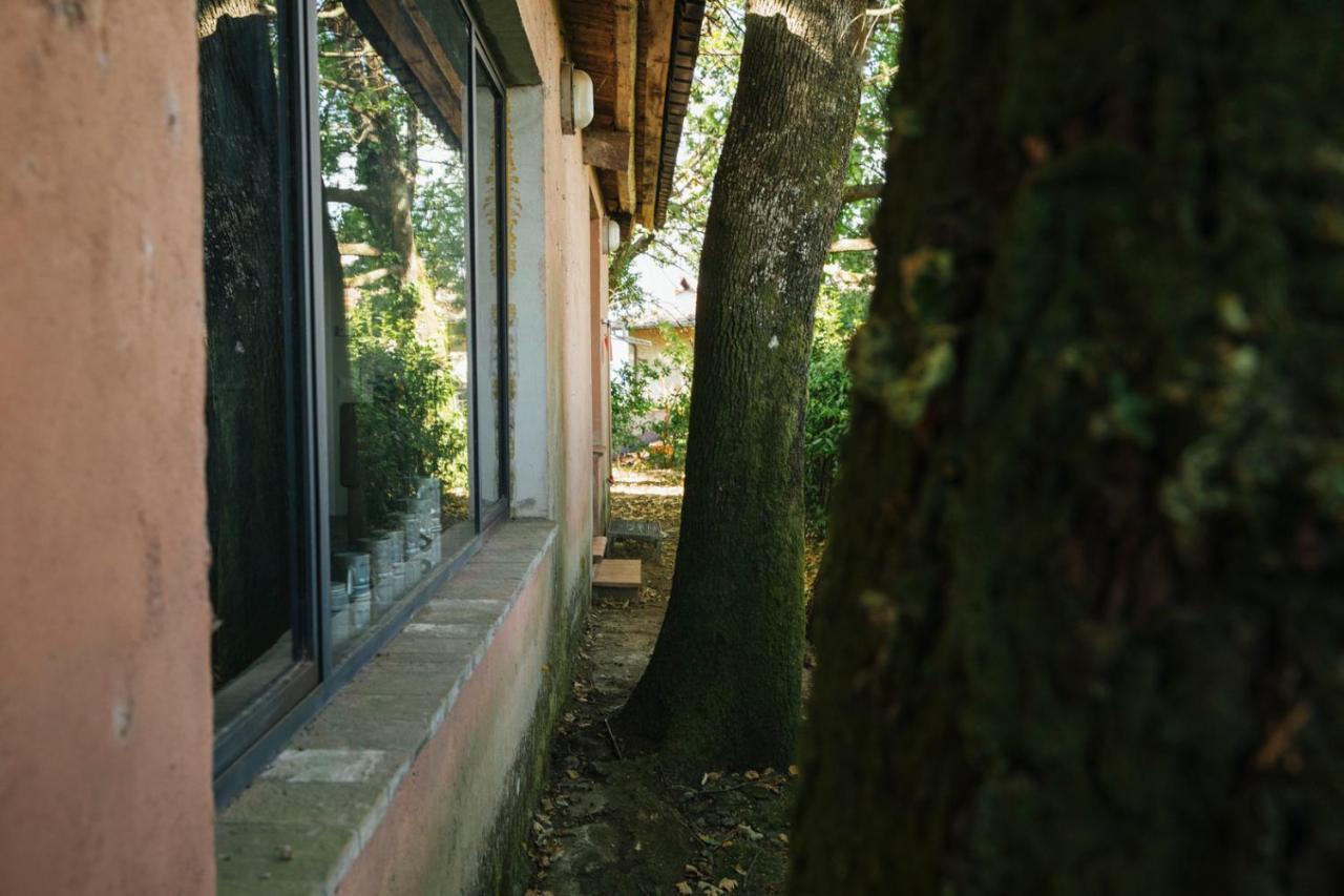 Studio/Flat Rustic Tuscan Marziani 2 Capannori Bagian luar foto